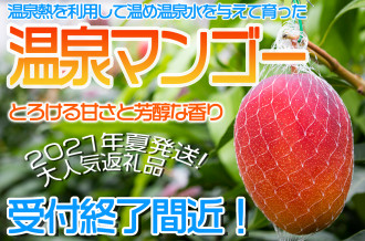 A1-22259／【2週間発送】天然アルカリ温泉水「財宝」500ml×50本 