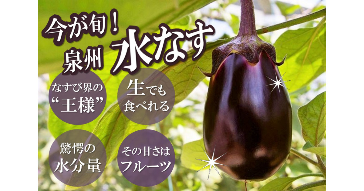 生産者の愛があふれる なすび界の王様 水なす ふるさと納税 ふるさとチョイス