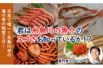 君は糸魚川の魚介のスゴさを知っているか！？