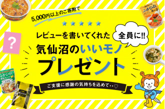 開店祝い ふるさと納税 マスク 不織布 女性 子供用 計50枚 10枚入 5袋 ホヤぼーや 気仙沼市物産振興協会 宮城県 気仙沼市 3 Nen Hoshou Css Edu Om