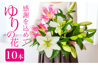 西和賀大輪の花「ゆり」 セット