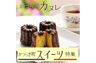 チョーヤ うめほのり １ｌ 紙パック 6本 1ケース 和歌山県かつらぎ町 ふるさとチョイス ふるさと納税サイト