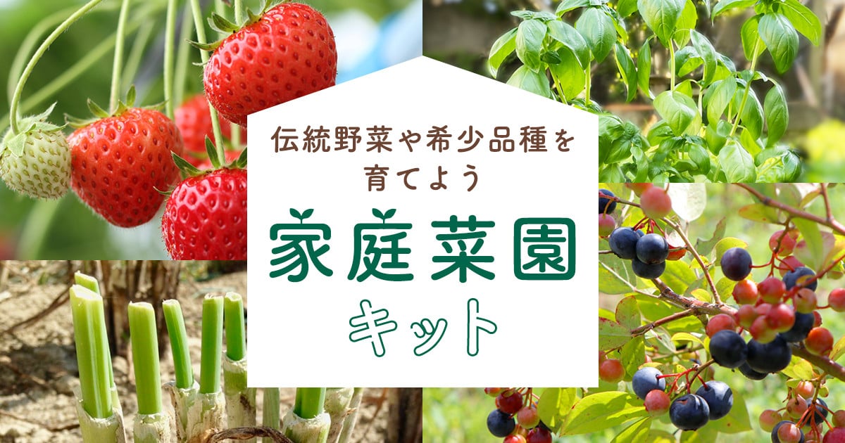 家庭菜園もふるさと納税で！伝統野菜や希少品種の家庭菜園キット