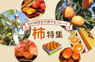 秋の味覚を代表するフルーツ“柿特集”