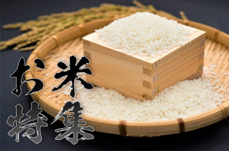 【新米・コシヒカリ特集】量で選べる！令和4年産の福井県産の美味しいお米