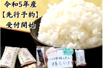山形県　寒河江市　ふるさと納税　はえぬき　2023年　先行予約　開始　！