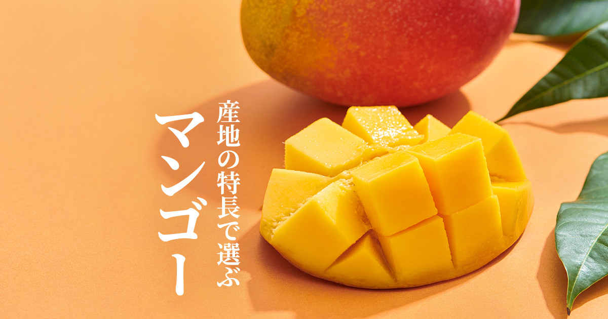 無農薬　完熟マンゴー 宮崎県産 完熟マンゴー＜5L×2玉 (計1.3kg以上) ＞化粧箱入 フルーツ