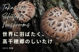 海外でも人気！高千穂郷産の干し椎茸特集！