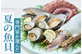専門家が選んだ 夏の魚貝