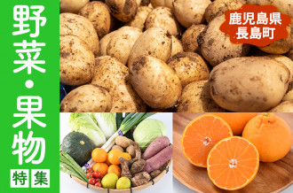 野菜・果物・ジュースなど長島町からお届け！