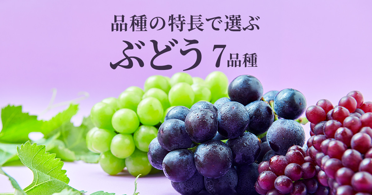 巨峰やピオーネなどふるさと納税で人気のぶどう。品種別で紹介