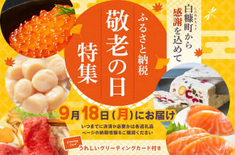 2024年3月末までにお届け 【訳あり】いくら醤油漬(鮭卵) 400g(200g×2