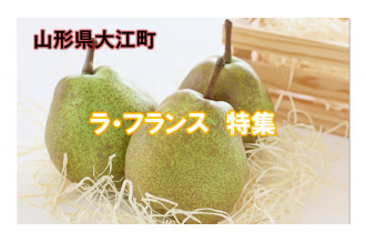 大江町産原料使用 やまがたさくらんぼスパークリング375ml×3本 [№5823