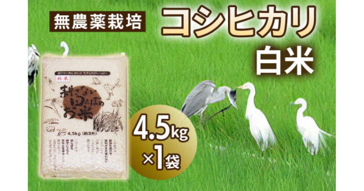 小梅　低農薬 10キロ 以上　在庫調整　ご家族用 jigomeya_1001035406-2