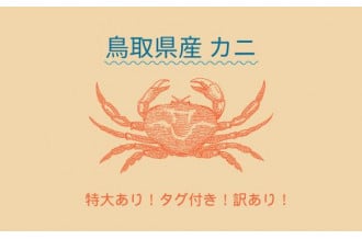 鳥取県日吉津村のふるさと納税 お礼の品ランキング【ふるさとチョイス】