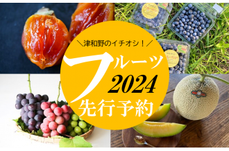 島根県津和野町のふるさと納税 お礼の品ランキング【ふるさとチョイス】