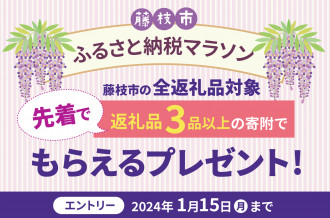 オンライン決済限定】【先行予約】葉牡丹ハンギングリース寄せ植え