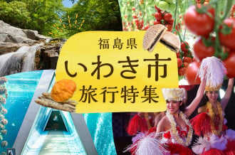 無地熨斗付き】真蛸(蒸しボイルたこ)1kg×1杯 調理簡単で便利！おかずの