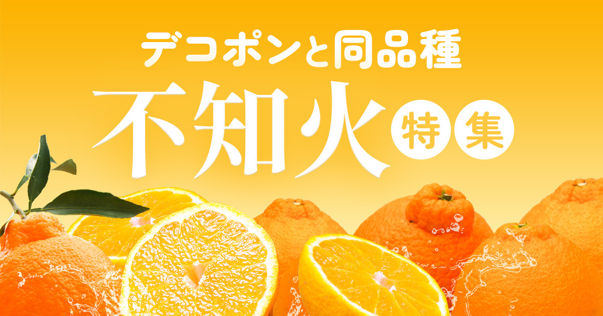 熊本県津奈木町のデコポンと同品種！名産地津奈木町の不知火特集