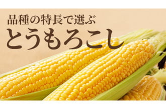 品種の特長で選ぶ とうもろこし