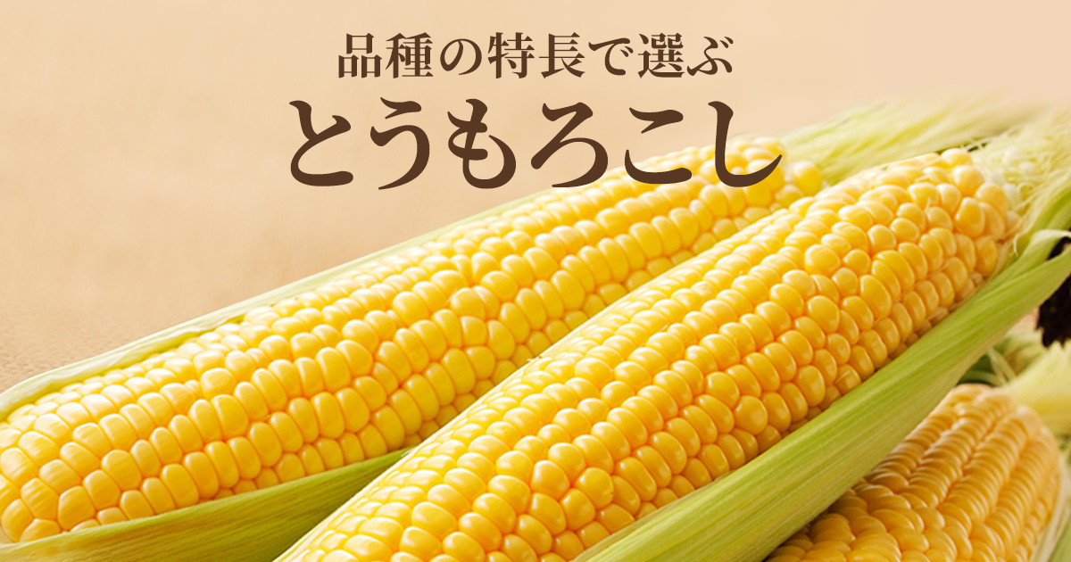 ふるさと納税 とうもろこし 茨城県 八千代町 訳あり 令和7年産 先行予約 2025