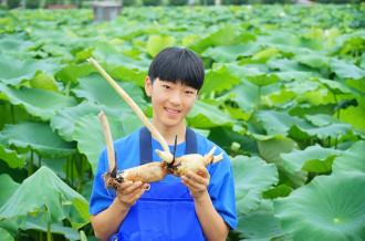 野菜ソムリエプロの緒方湊さん