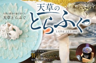 ～天草の恵みの海で育てた～天草とらふぐ