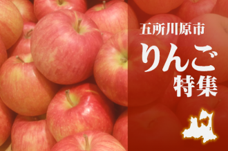 「美味しいりんごが食べたい！…でもどうやったら美味しいりんごに出会えるの？」 そんなあなたにオススメの選び方を紹介します。