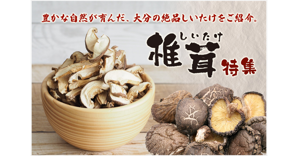 新鮮 椎茸 248g 大きめ 津久見市のしいたけ特集｜ふるさとチョイス - ふるさと納税サイト