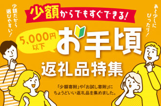 福岡県福智町 5000円以下　お手軽返礼品特集