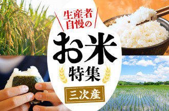 ふるさと納税 新米 お米 美味しい 取り寄せ グルメ 白米 こめ おいしいお米 即納