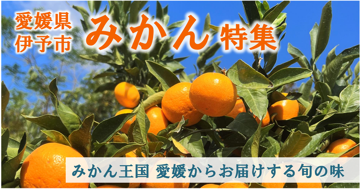 si_e4d4877a19ba0cf6993956ac2a5