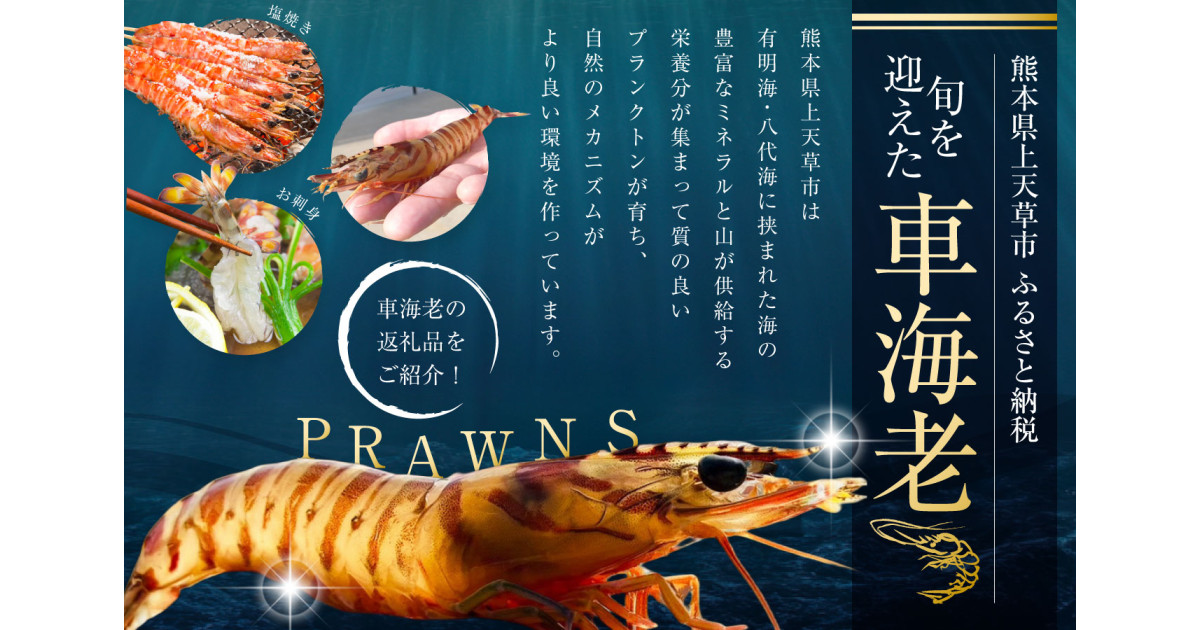 旬を迎えた車海老｜ふるさとチョイス - ふるさと納税サイト