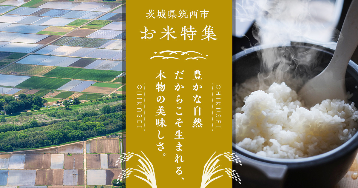 令和6年産米】〈2025年7月月内発送〉お米4種 食べくらべ 20kg