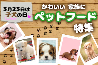 ペットフード特集