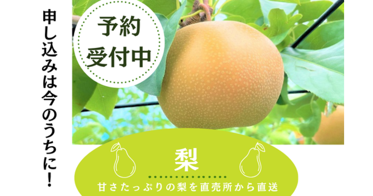 梨 先行予約！ 四街道市から美味しい梨をどうぞ！｜ふるさと
