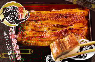 うなぎキャンペーンバナー