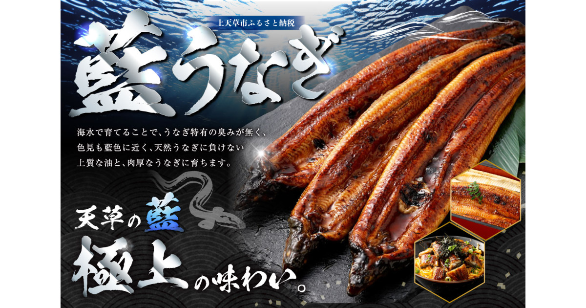 ふるさと納税 上天草市 海水育ちの天草藍うなぎ　小ぶり蒲焼き7〜10尾セット ふるさと納税数量限定訳ありミシュラン星付き
