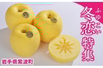 岩手県生まれの黄色いりんご「はるか」と、「冬恋」はるか
