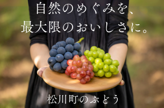 自然のめぐみを、最大限のおいしさに。松川町のぶどう
