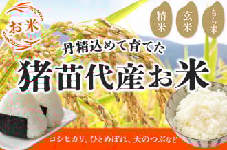猪苗代町 ふるさと納税 お米