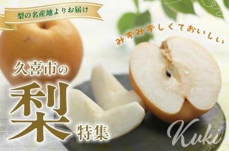 久喜市の美味しい梨特集〜梨の名産地よりお届け〜