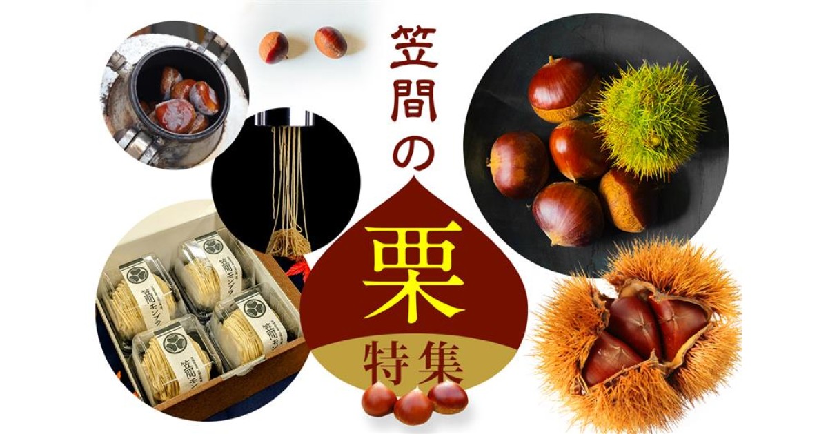 まー@プロフ必読ページ 笠間の生栗　大きな生栗 栗のまち』笠間の『栗』特集～生栗・焼き栗編～｜ふるさとチョイス