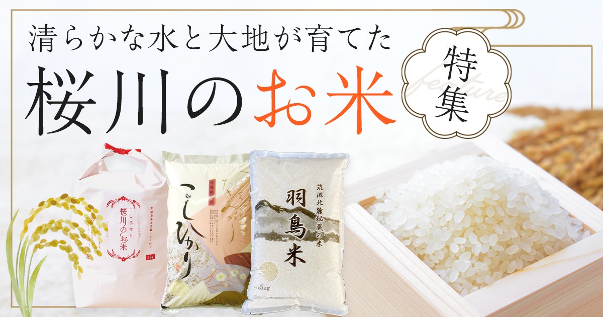 お米 令和7年産】にじのきらめき 精米 20kg(5kg×4袋) 茨城県産のお米 | 茨城