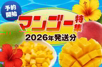 【予約開始 / 2025年発送分】沖縄県・南風原町　マンゴー大特集！