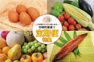 印南町自慢の定期便には、毎日の食卓に欠かせない野菜や、みかんどりの卵等魅力ある定期便たくさんございます。