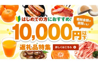 はじめての方におすすめ！寄附額10,000円以下！おすすめ返礼品特集