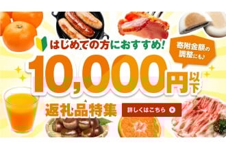 はじめての方におすすめ！寄附額10,000円以下！おすすめ返礼品特集