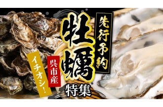 【牡蠣の魅力と選び方ガイド】あなたにピッタリの牡蠣が見つかります🦪