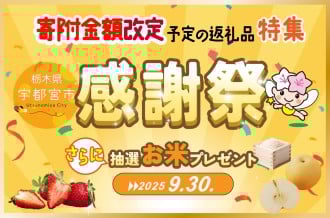ふるさと納税　生活応援　キャンペーン　寄付額改定